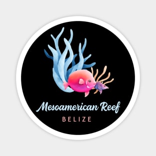 Mesoamerican Reef Belize Caribbean Coral Reef Fish Magnet